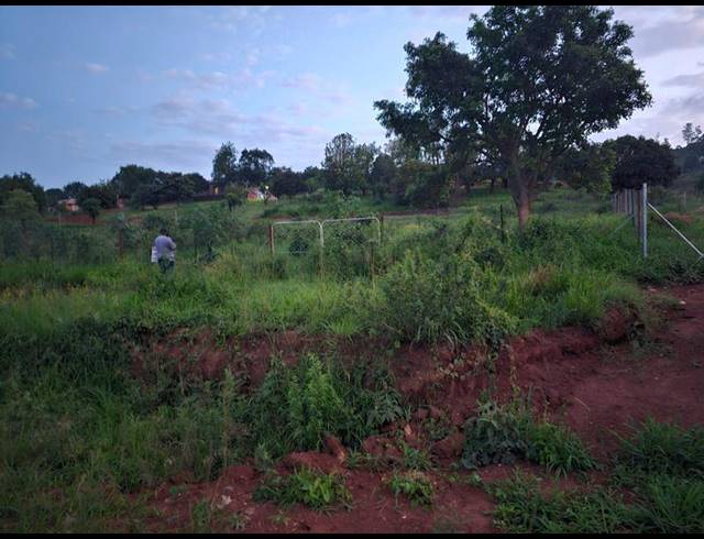 LAND FOR SALE IN ELIM